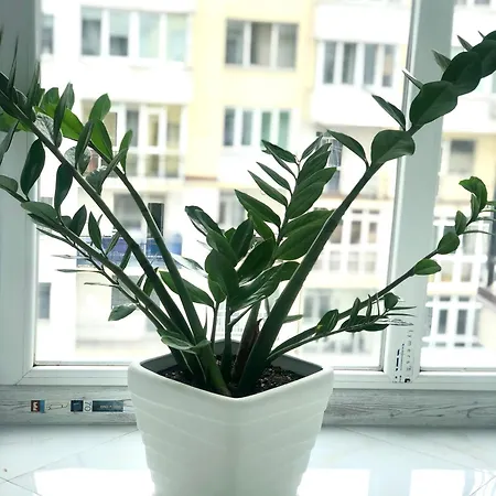 Osapart At A Complex Shevchenka 21 * 리비프