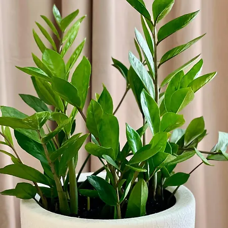 Osapart At A Complex Shevchenka 21 * לבוב