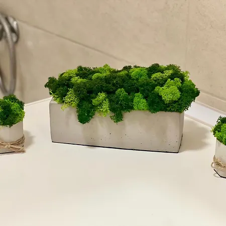 Osapart At A Complex Shevchenka 21 *