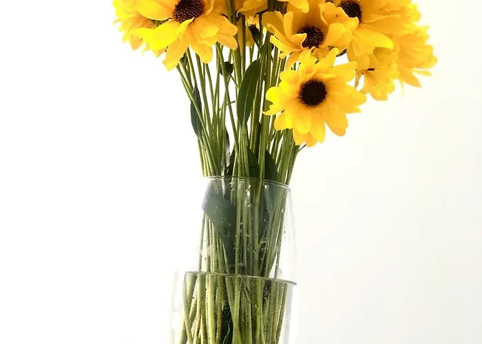 Osapart At A Complex Shevchenka 21 Lviv