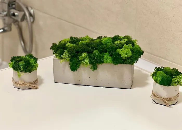 Osapart At A Complex Shevchenka 21 *